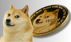 Dogecoin'in simgesi Kabosu öldü