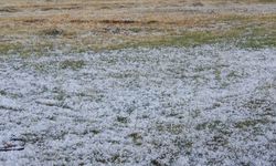 Ağrı'da dolu tarım arazilerine hasar verdi