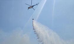 İzmir'in Dikili ilçesinde çıkan orman yangınına müdahale ediliyor