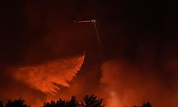 İzmir Gaziemer ve Buca’da çıkan yangının yerleşim yerlerine tehdidi önlendi, Foça’daki yangın kontrol altında