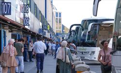 Haziranda fiyatı en fazla yükselen "kara yoluyla yolcu taşımacılığı", en çok düşen "patates" oldu