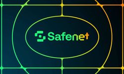 Safe’nin Safenet Projesi, Kripto Ekosistemine Visa Benzeri Bir Ödeme Ağı  Getirmeyi Hedefliyor