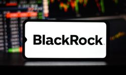 BlackRock’un sBUIDL’ı, Avalanche Üzerinde Euler ile 'İlk Doğrudan DeFi Protokolü Entegrasyonunu' Başlattı