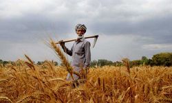 Hindistan’da aşırı sıcaklar tarımı vurdu