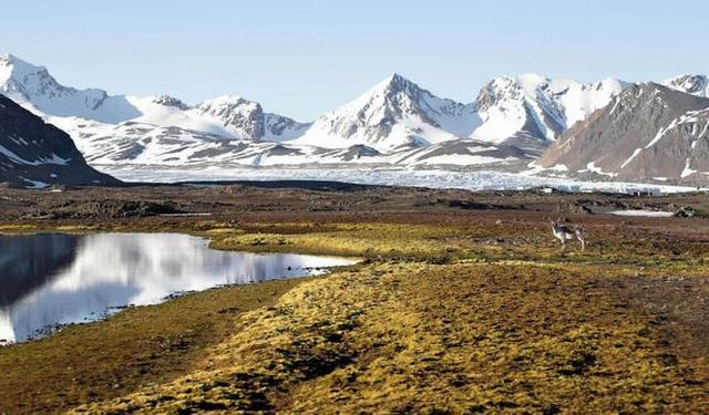 Buzulların erimesiyle ortaya çıktı: Norveç'te 300 milyon euroya satılık arazi