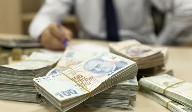 Bankacılık sektörünün mevduatı geçen hafta arttı