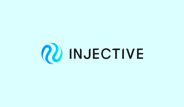 Injective, Layer 1 Blokzincirine Yerel Yüksek Performanslı EVM Desteği Ekliyor