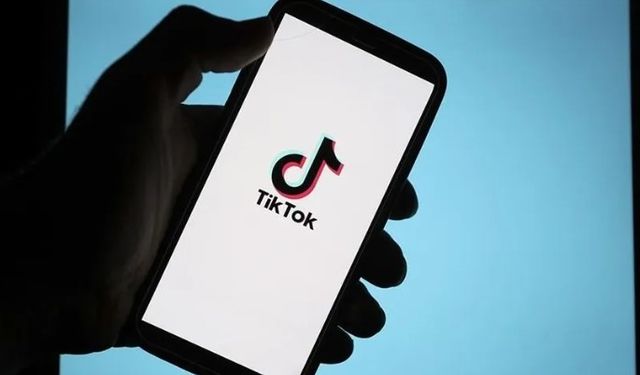 TikTok, fotoğraf alanı açmaya hazırlanıyor