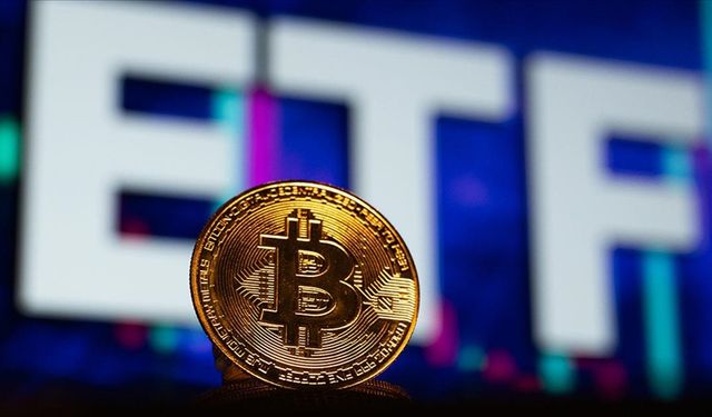 Bitcoin ETF'lerinden 165 milyon dolarlık çıkış