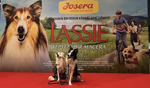 Lassie: Yepyeni Bir Macera filminin Türkiye galası yapıldı