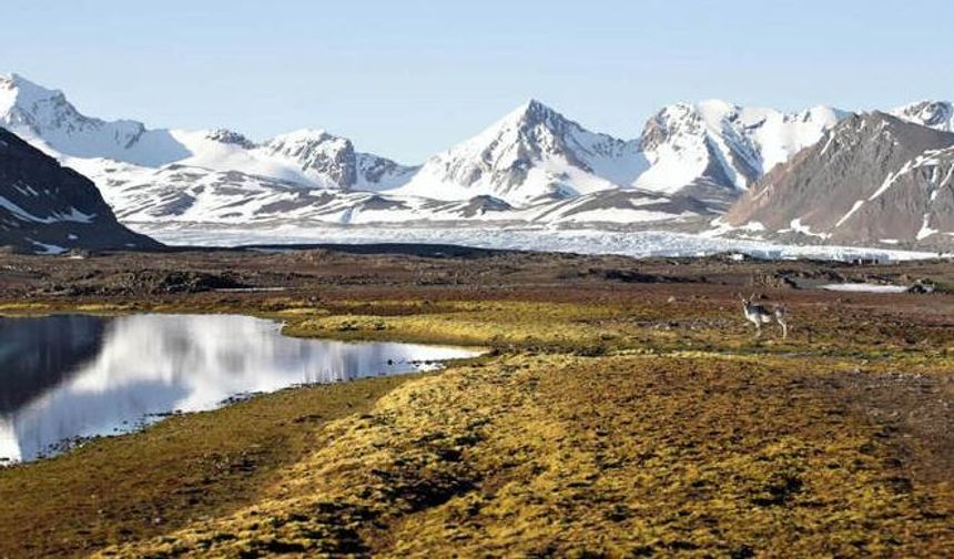 Norveç'te 300 milyon euroya satılık arazi