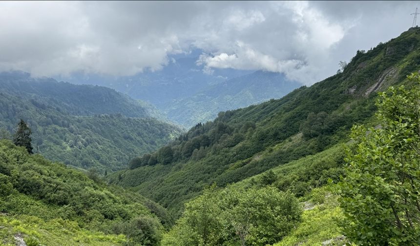 Türkiye'nin tek biyosfer rezerv alanı Camili Havzası kültürel ekolojik gezilerin yeni rotası oldu.