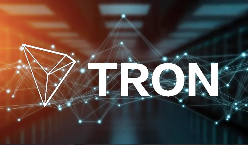 TRON DAO, Berkeley Güvenlik Zirvesi'nde Blockchain Eğitimini Vurguladı