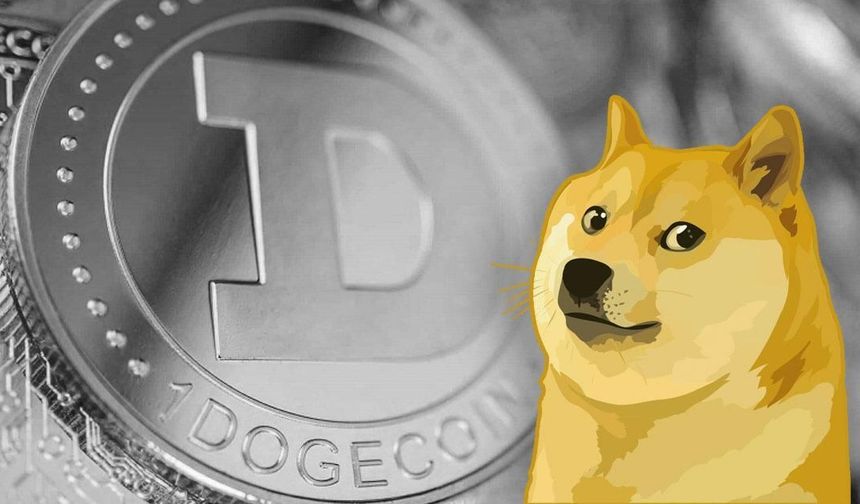 Başka Bir Halka Açık Şirket DOGE Token Satın Aldı